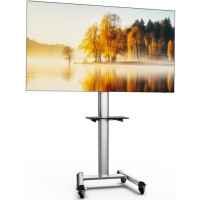 XTRARM Proton 500 mobiler TV Ständer mit Ablage, TV ca. 37-70 Zoll / 40 kg, viele VESA-Größen, Variable Höhe bis ca. 211 cm, Schwarz/Silber, TV-Sta...